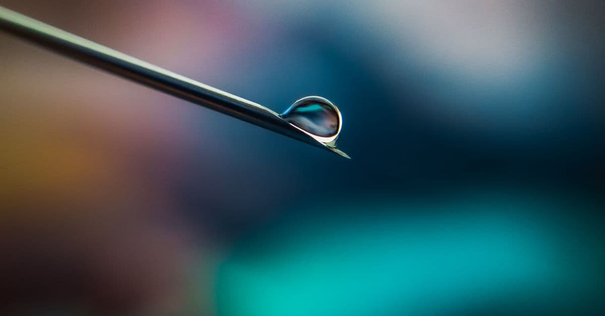 Close-up image showing a dew droplet balancing on a needle tip, highlighting macro photography.