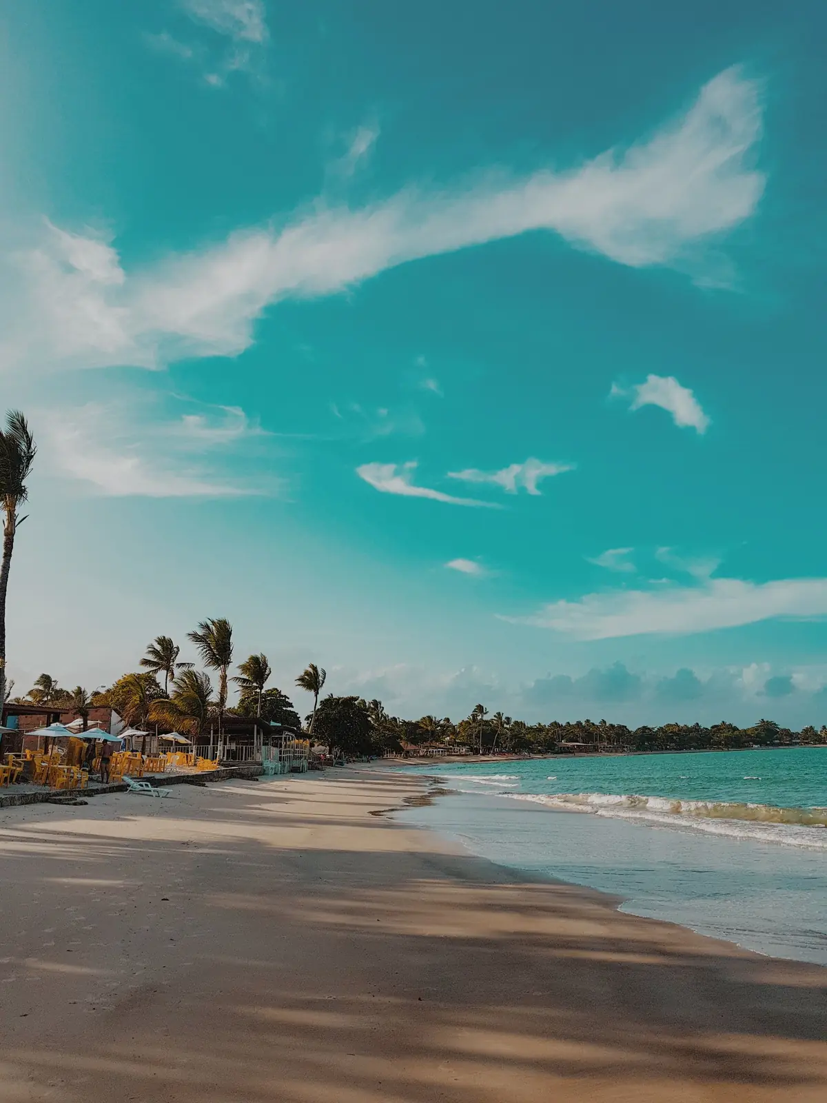 Tropical shoreline beneath a changing sky