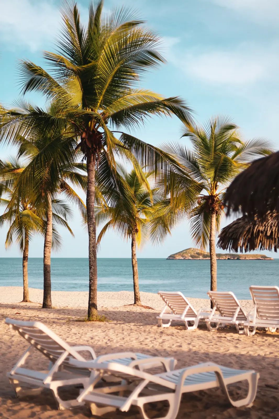 Palm trees beside a coastal resort